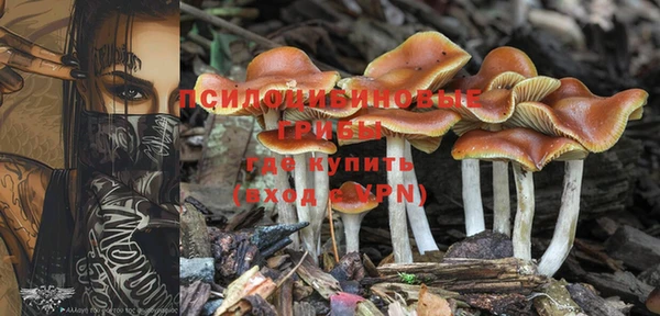 таблы Армянск
