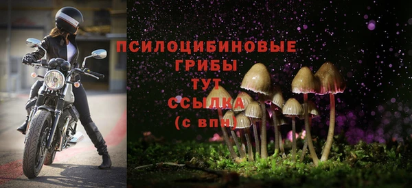 таблы Армянск