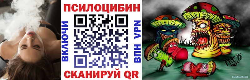 гидра как зайти Багратионовск Галлюциногенные грибы Psilocybine cubensis